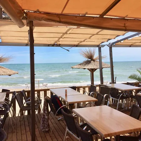 Beach, Wine, Dining, Sports, Summer, Winter *