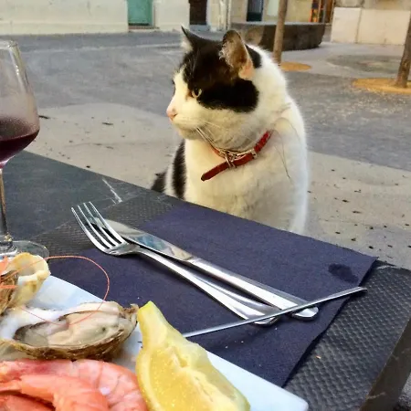 Apartment Beach, Wine, Dining, Sports, Summer, Winter *
