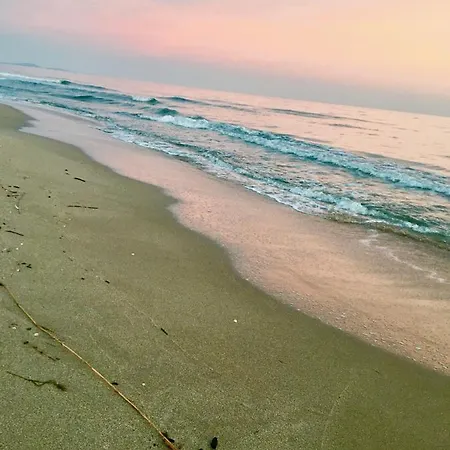 شقة Beach, Wine, Dining, Sports, Summer, Winter *